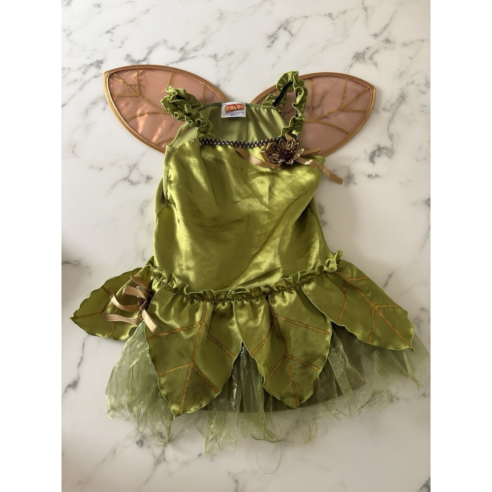 Fairy Garden Mystical Wing Costume Size 4-6 Toddler Halloween Dress Up